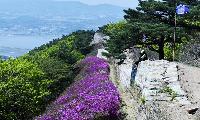 사계절 걷는 DMZ 최북단(김포·고양·파주·연천) 도보길 '월별 평화누리길 코스' 추천
